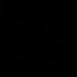 Meet your Posher, Hayden